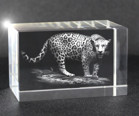 3D Glasquader   Motiv: Jaguar